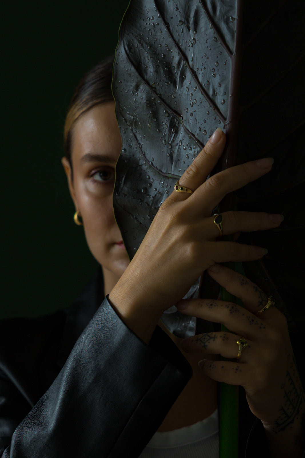 Verdure | Our fall collection