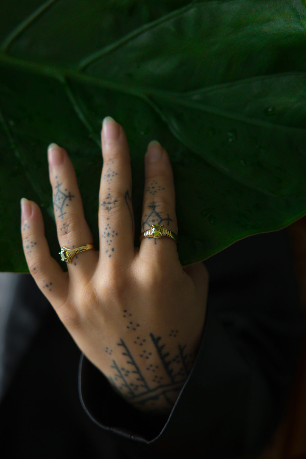 KAIA - Neij Jewellery, Rings