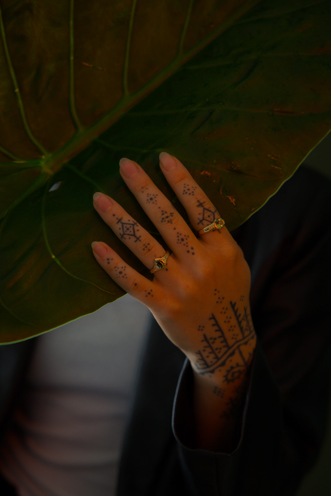 EDEN - Neij Jewellery, Rings