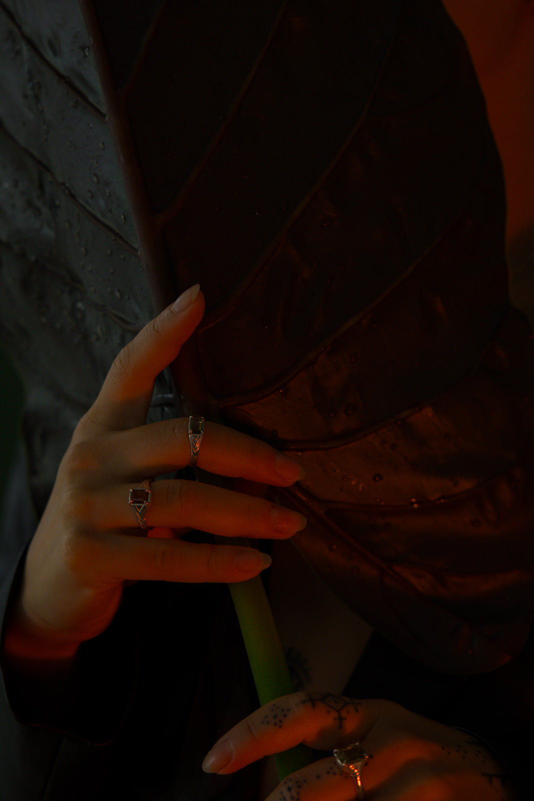 VERDRA - Neij Jewellery, Rings