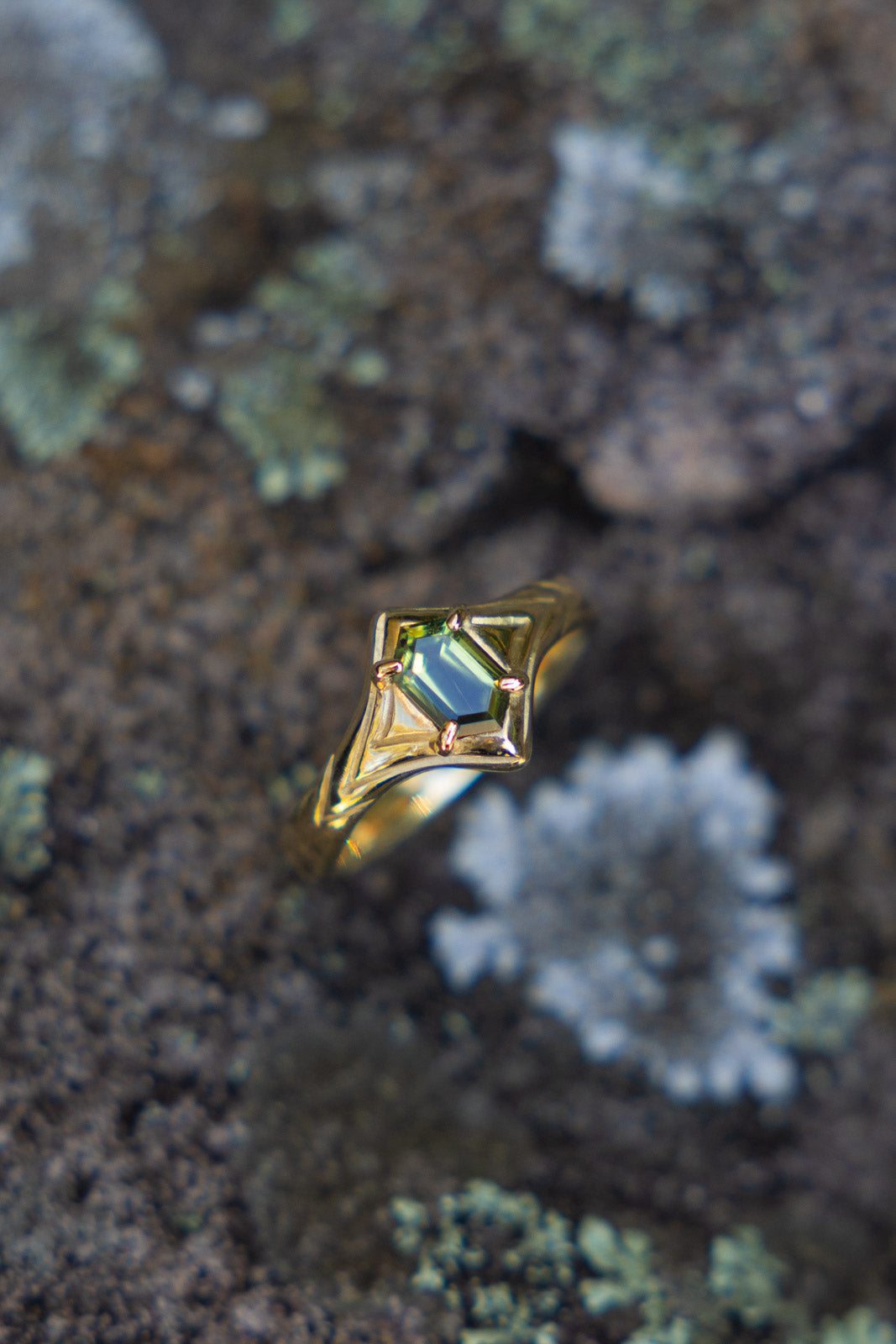 EDEN - Neij Jewellery, Rings