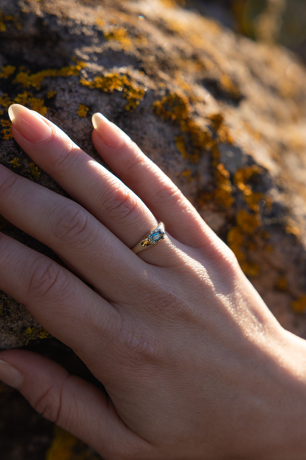 COVE | SOLID GOLD
