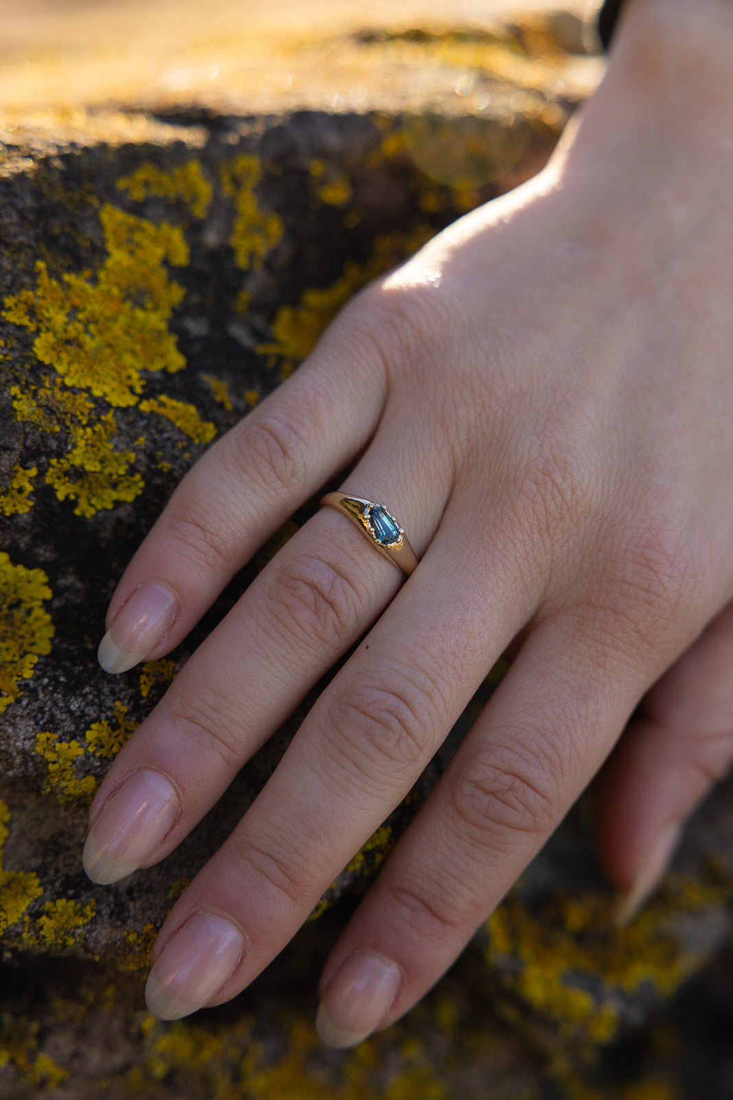 COVE | SOLID GOLD
