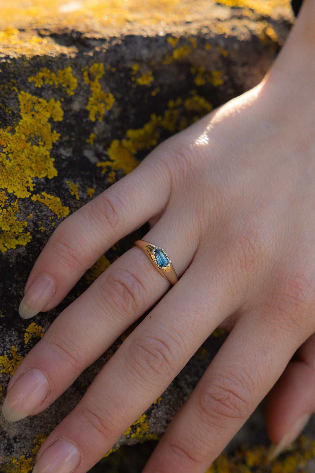 COVE | SOLID GOLD
